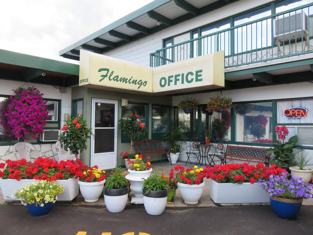 Flamingo Motel Penticton Esterno foto